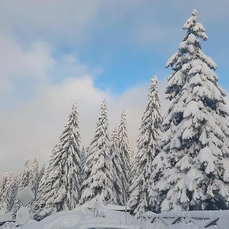 Haski Konaci Apartment